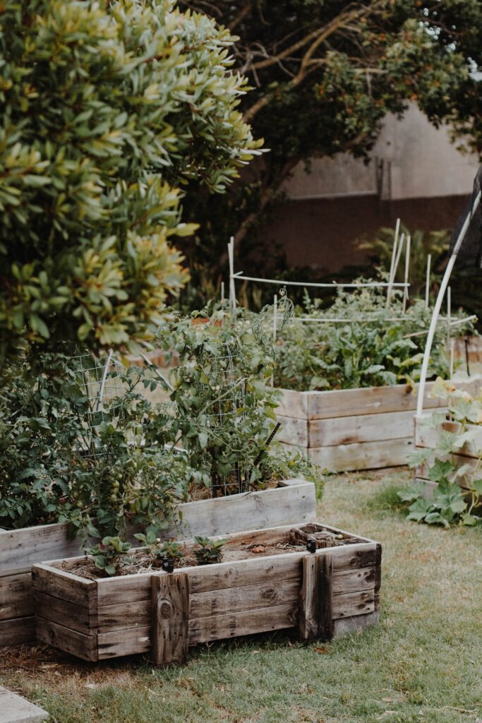 homesteading-skills-for-moms-garden.jpg